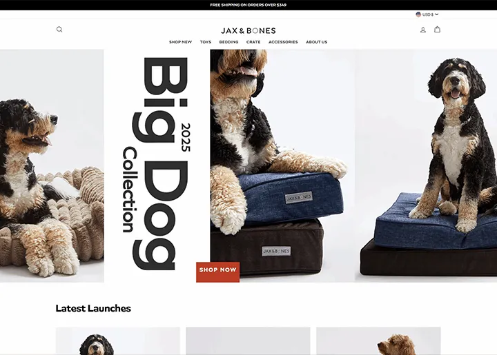 Jax and Bones Odoo ERP implementation
